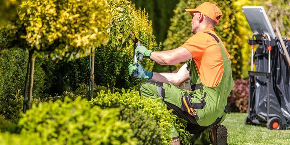 top rated landscaping company San Francisco, CA