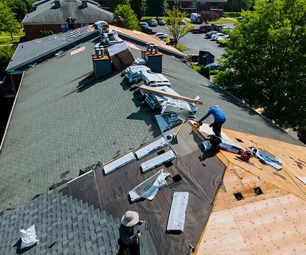 Alameda, CA roofing expert